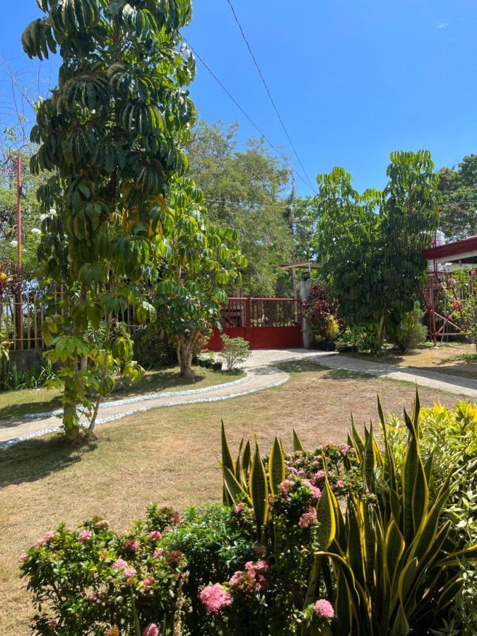 Uptown Guesthouse Siquijor Εξωτερικό φωτογραφία